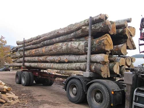 LKW-Ladung Rundholz – Buche, Eiche, Hainbuche – 25 Ster