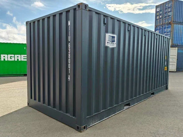 Seecontainer 20 Fuß mit Seitentür, grau, gebraucht